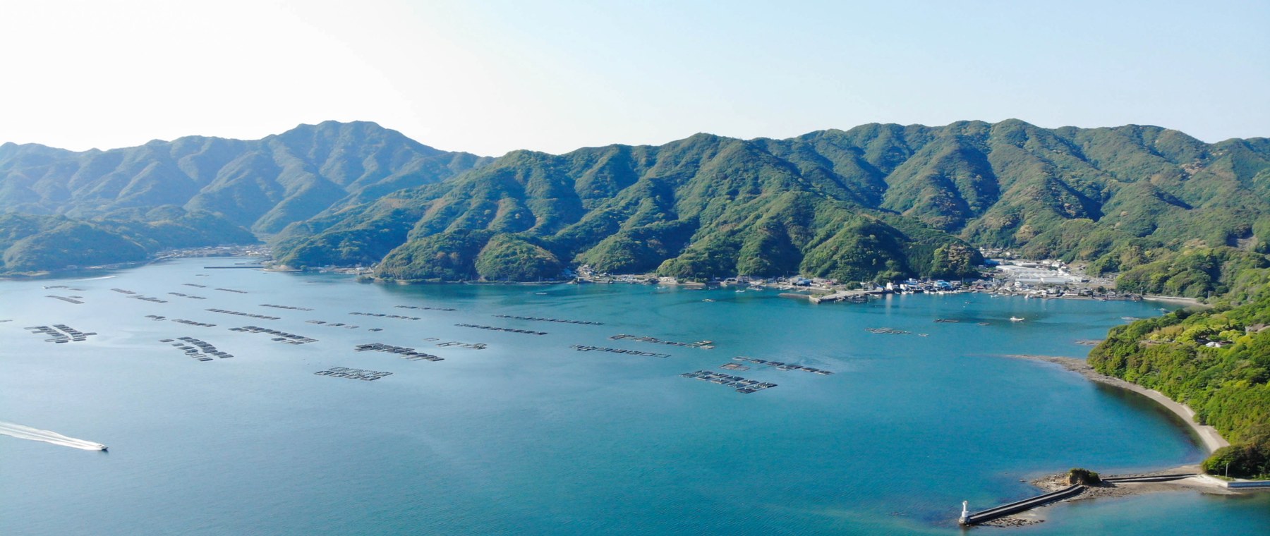 海辺の柑橘畑(産地の風景)